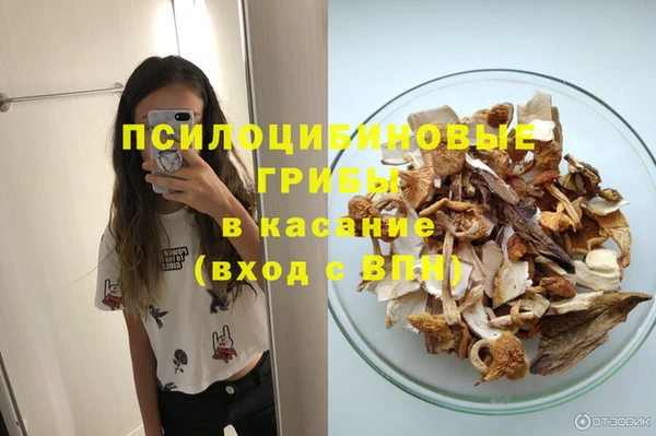 эйфоретик Инта